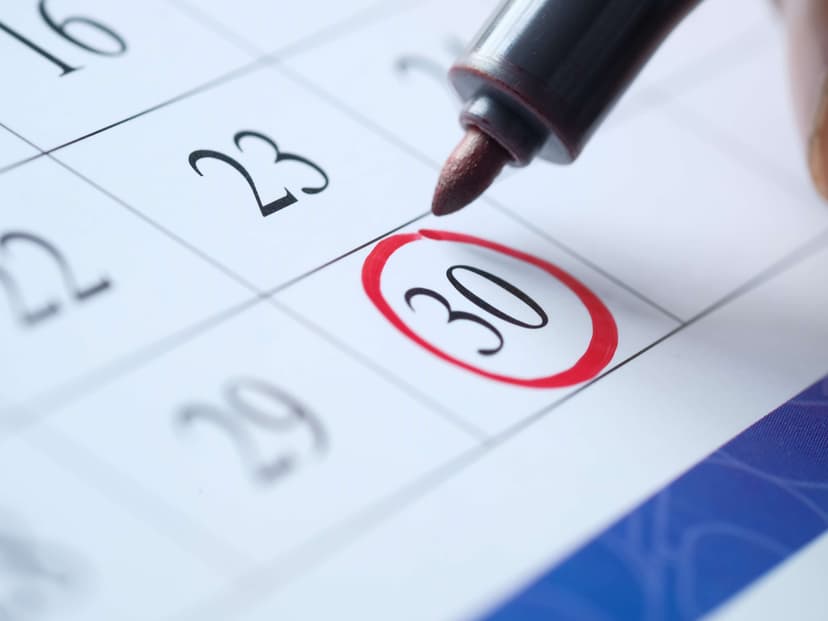 SRD en Bourse : ce que vous devez savoir